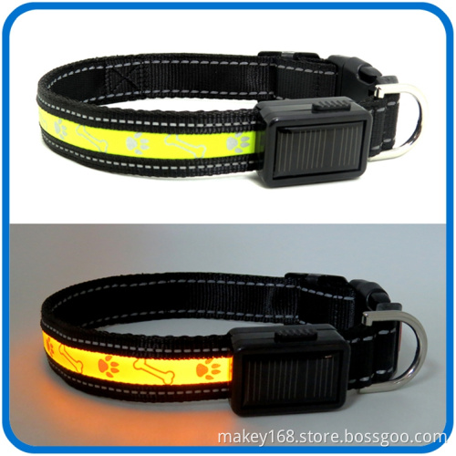 Night Safety Pet Dog Training Collars Light